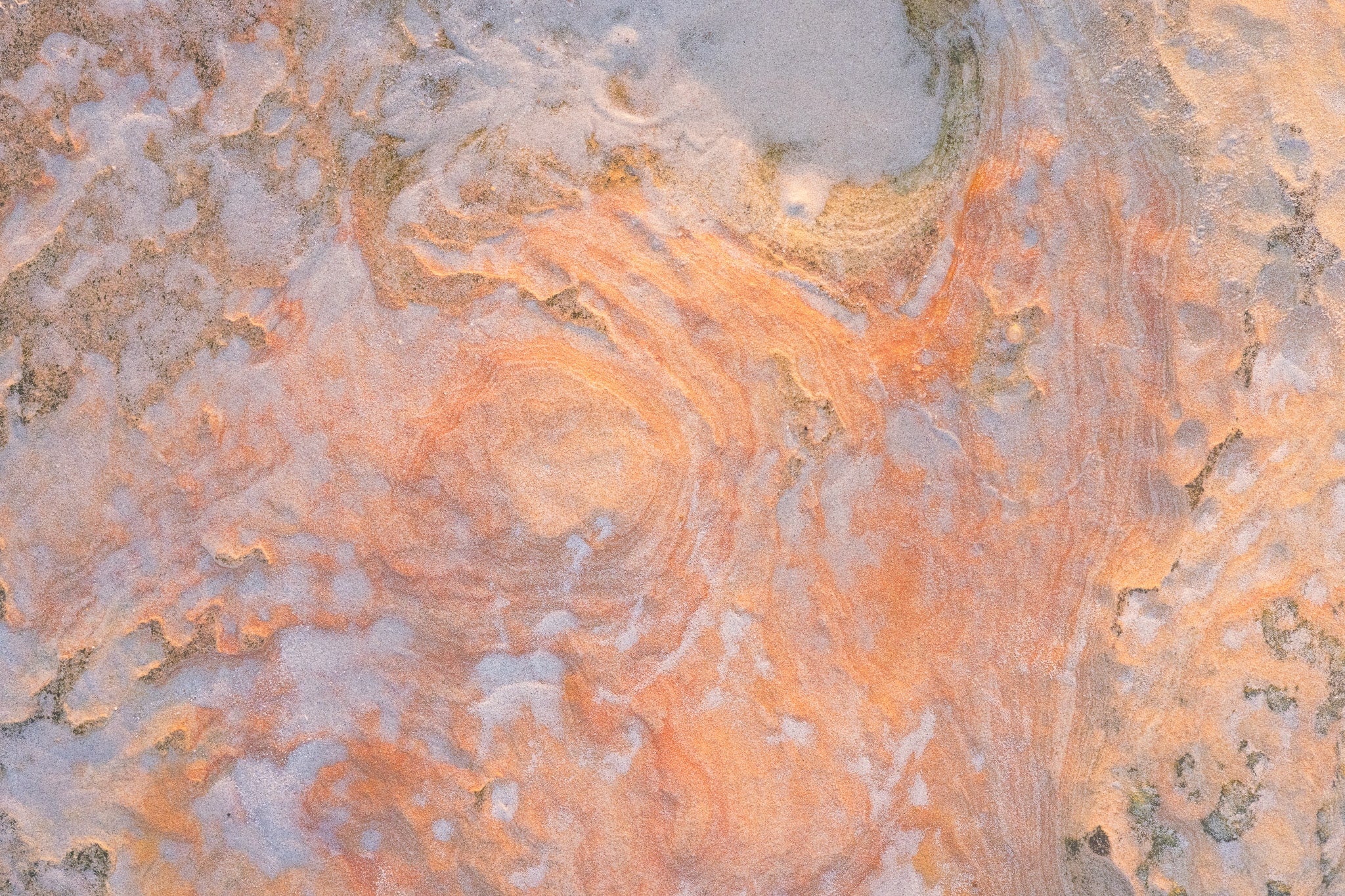 Ancient Alchemy Limited Edition Prints - Matt Tinney Prints