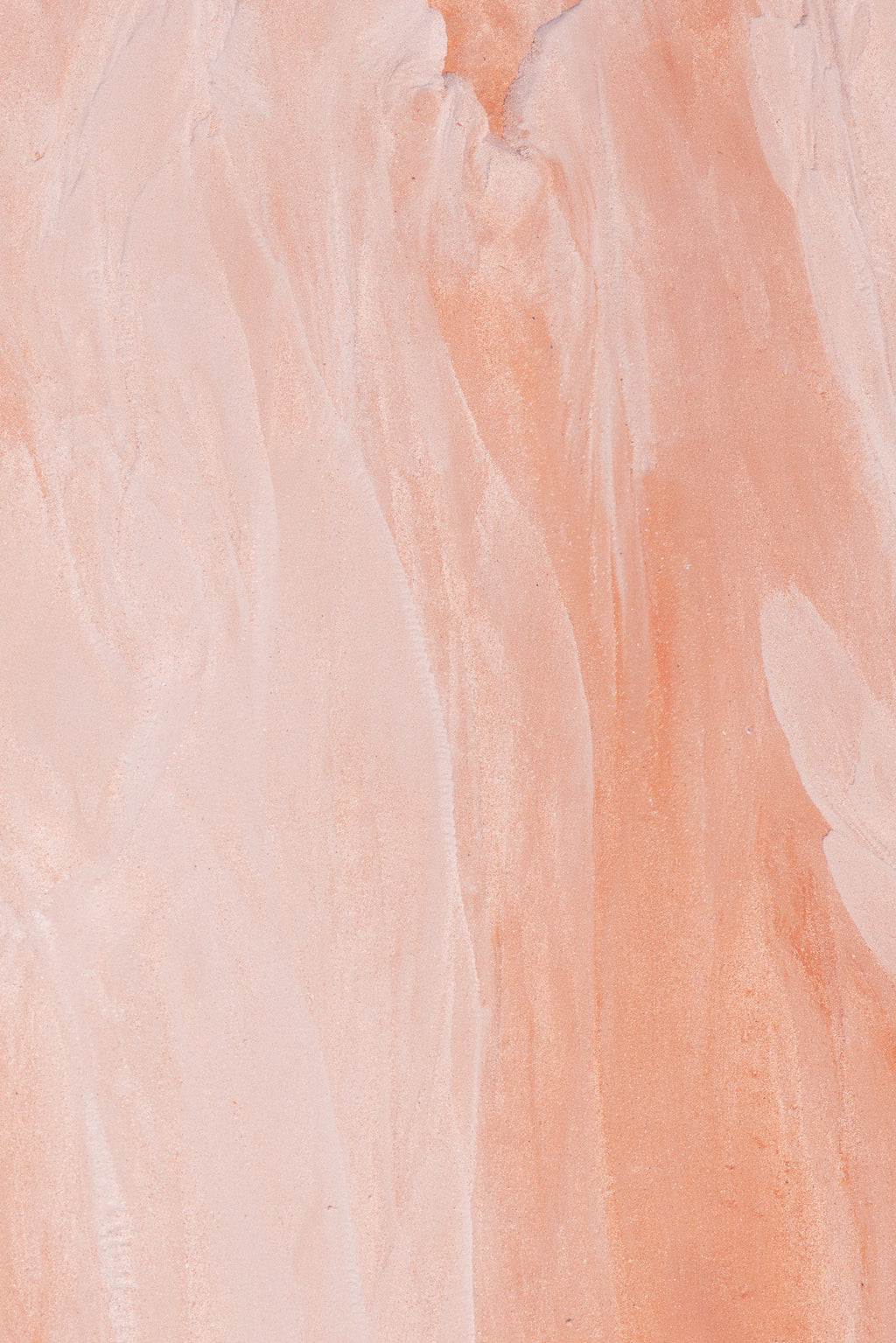 Wild Dreams + Coral Sands Limited Edition Prints - Matt Tinney Prints