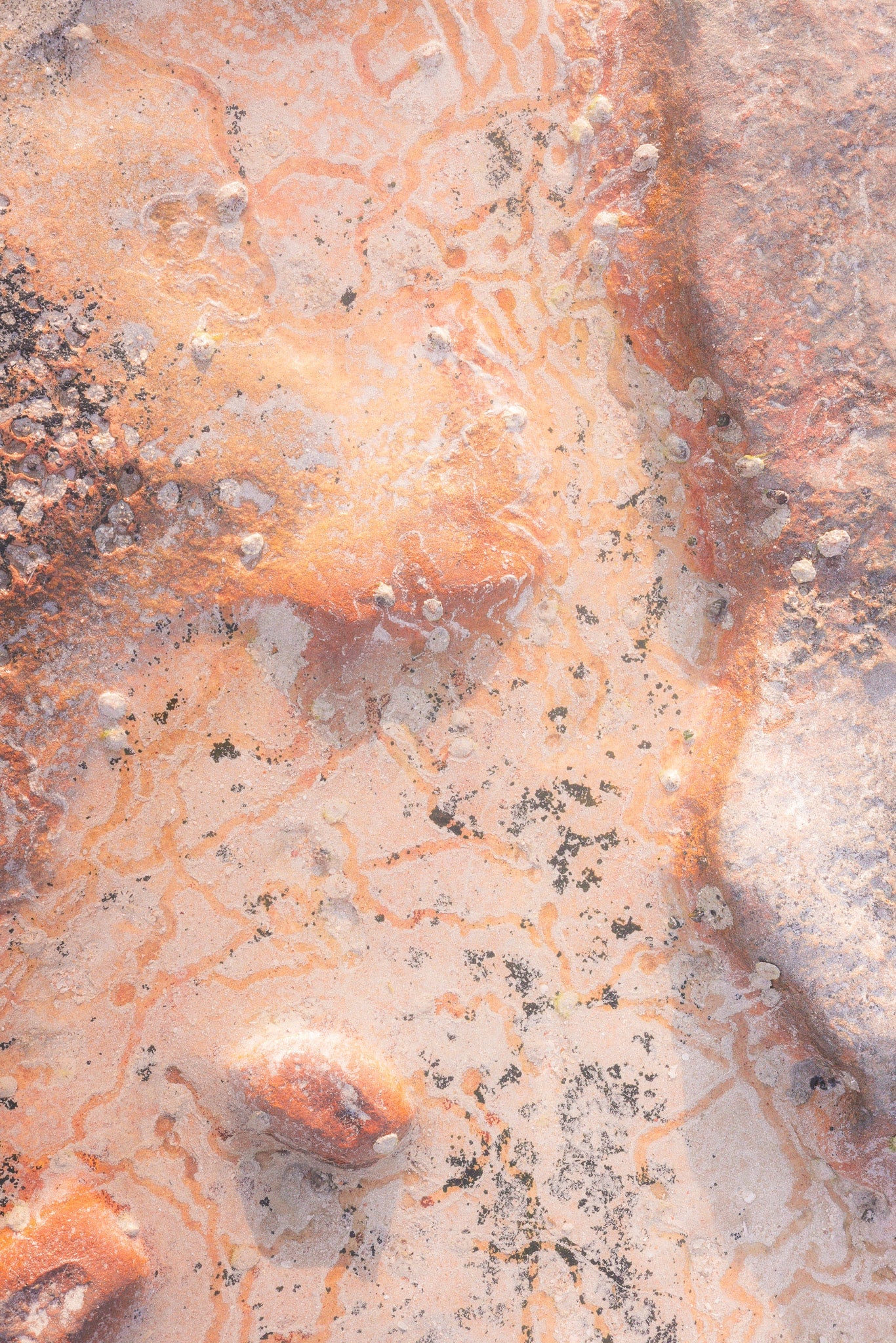 Golden Ascendance + Ethereal Sunset Limited Edition Prints - Matt Tinney Prints