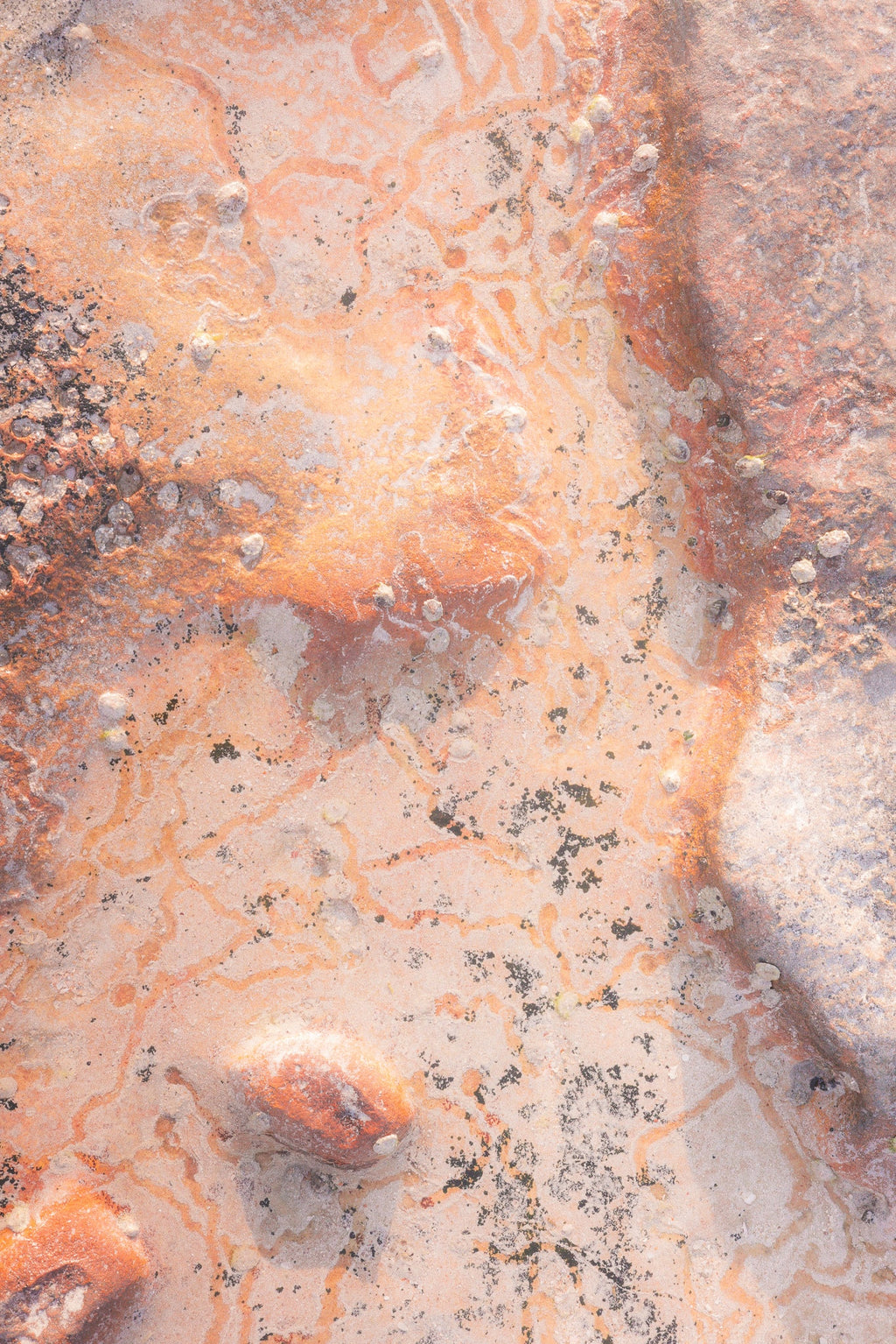 Golden Ascendance + Ethereal Sunset Limited Edition Prints - Matt Tinney Prints