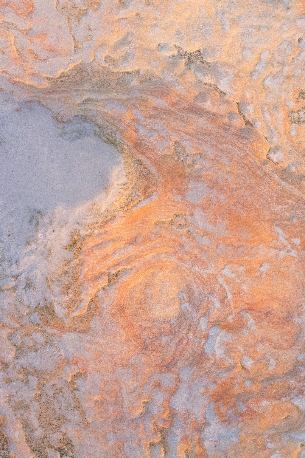 Sculptural Euphoria Limited Edition Prints - Matt Tinney Prints