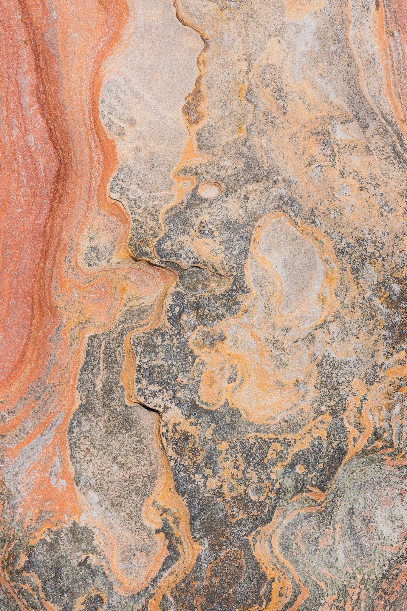 Wild Dreams + Coral Sands Limited Edition Prints - Matt Tinney Prints